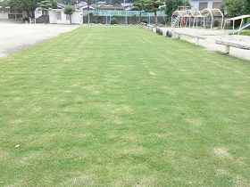 赤崎小学校現在の芝生の状況
