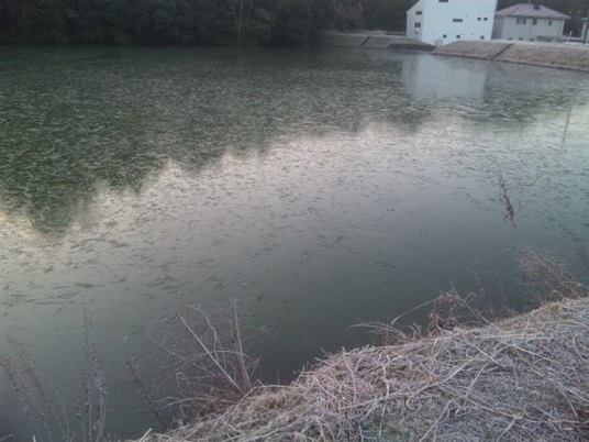 池の氷
