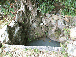 写真：深井の井戸　中の様子