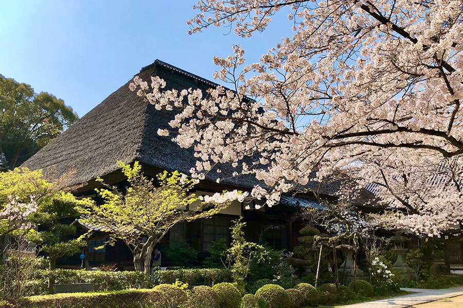写真：玉島　円通寺