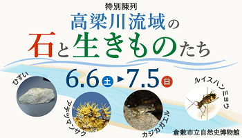 特別陳列 高梁川流域の石と生きものたち