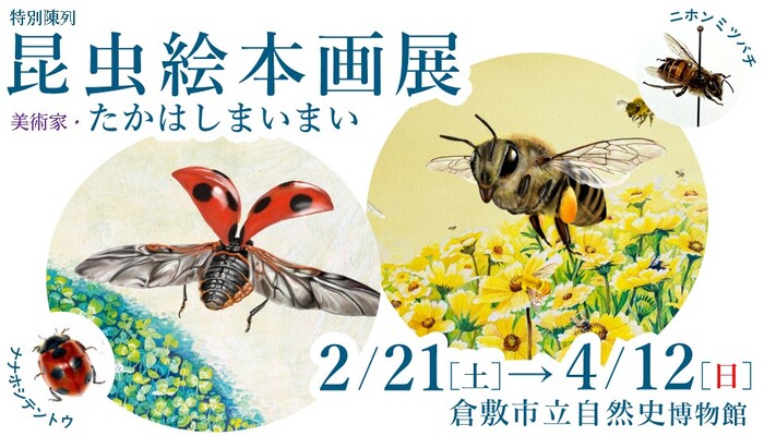 特別陳列のたかはしまいまい昆虫絵本画展を開催しています