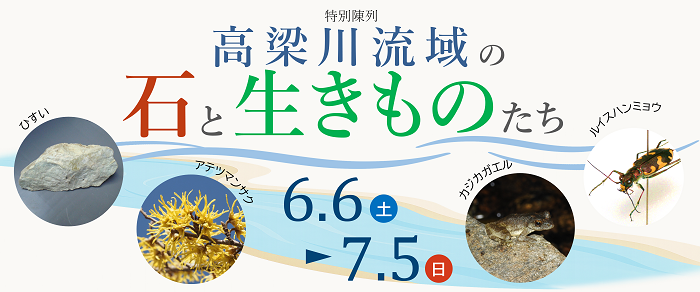 特別陳列「高梁川流域の石と生きものたち」のバナー
