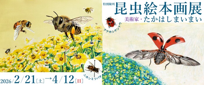 特別陳列「たかはしまいまい昆虫絵本画展」のバナー