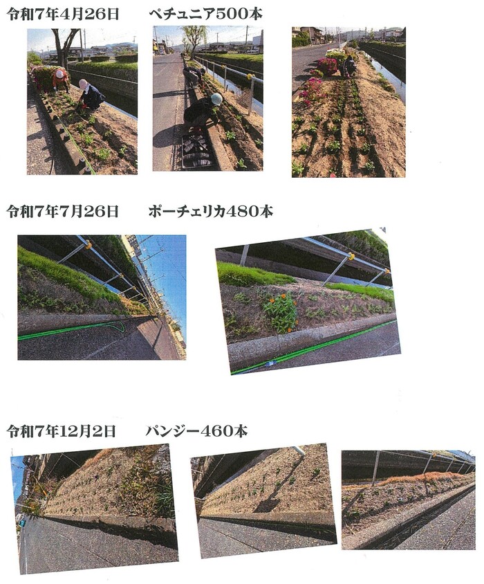 すみれ会写真