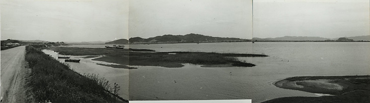 写真:乙島近辺から見る高梁川