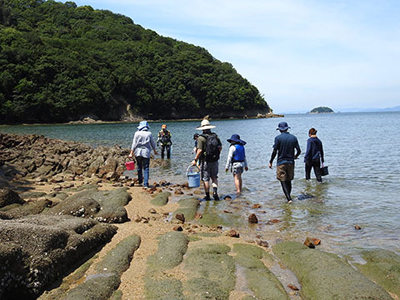 写真：くらしき市民講座「海辺教室」02