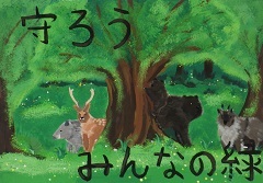 写真：佳作作品5