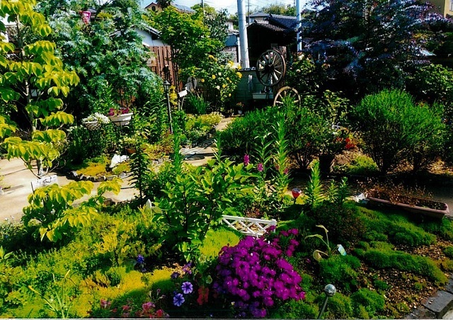写真：最優秀賞作品