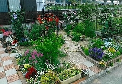 写真：その他応募作品1