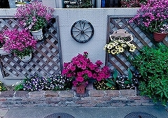 写真：その他応募作品3