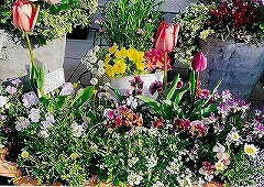 写真：その他応募作品4