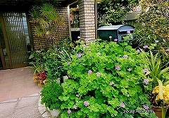 写真：その他応募作品5