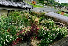 写真：その他応募作品11