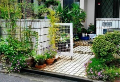 写真：その他応募作品12