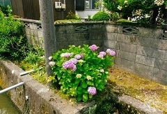 写真：その他応募作品14