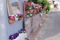 写真：その他応募作品17