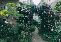 写真：その他応募作品1