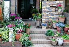 写真：その他応募作品2