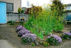 写真：その他応募作品3
