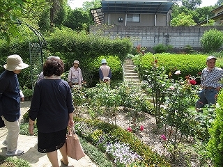 写真：花壇の花木