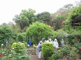 写真：花壇