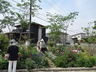 写真：築山の花木