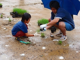 写真：植栽1