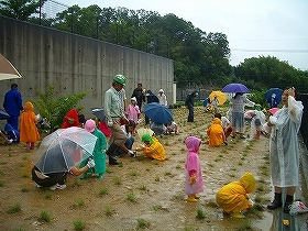 写真：植栽2
