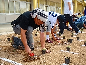 写真：植栽2