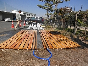 写真：苗生育1