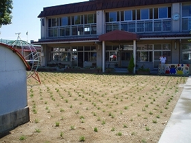 写真：植栽直後2