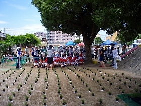 写真：植栽風景3