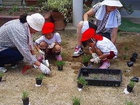 写真：植栽風景4