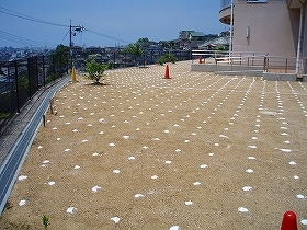 写真：植栽風景1