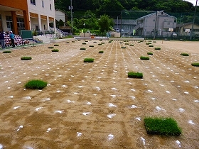 写真：植栽風景1