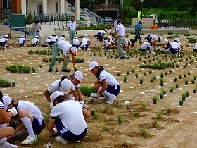 写真：植栽風景3