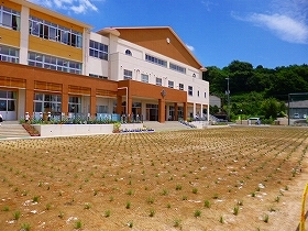 写真：植栽直後