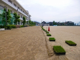 写真：植栽風景1