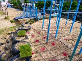 写真：植栽風景2