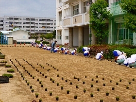 写真：植栽風景3