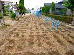 写真：植栽直後2