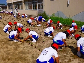写真：24年植栽風景3