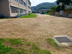 写真：25年植栽風景1