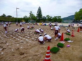 写真：植栽風景3