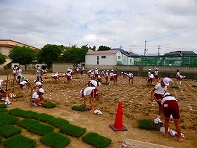 写真：植栽風景5