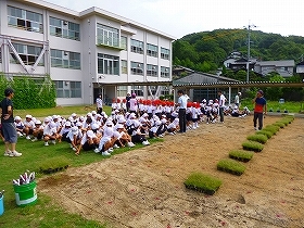 写真：植栽風景2