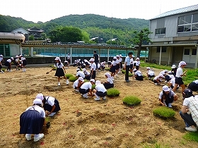 写真：植栽風景3