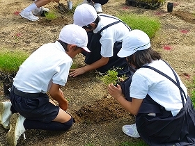 写真：植栽風景4