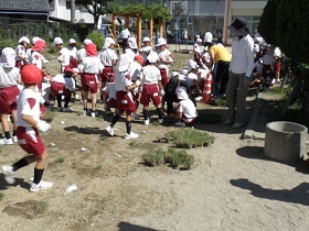 写真：赤崎小学校植栽の様子3